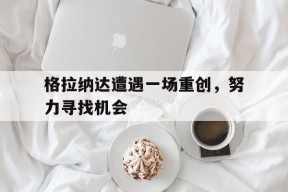 格拉纳达遭遇一场重创，努力寻找机会-九游体育下载