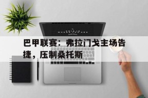 巴甲联赛：弗拉门戈主场告捷，压制桑托斯-九游体育下载