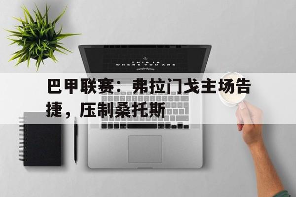 巴甲联赛：弗拉门戈主场告捷，压制桑托斯-九游体育下载  第1张